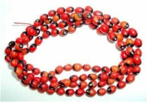 Collar peonia